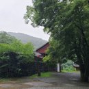 파랑새 행정사 사무소 이미지