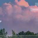 플리랩 네이버블로그