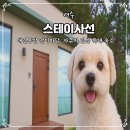 사선7길 5-6 | 여수 스테이사선 애견동반 감성 숙소 오션뷰 잔디마당 자쿠지 독채 펜션