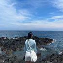 하나로마트 | 제주도 여행 1일차/우진해장국 동문시장 아베베 흑돼지삼겹살 하나로마트 해산물 후기