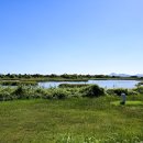 을숙도 생태공원 이미지