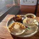 양지한의원 이미지