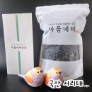 정수농장 | 아들네미 농장 국산 서리태 검은콩 콩밥 맛있는후기