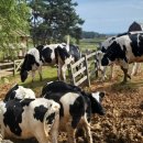 한울목장 이미지