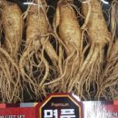 금성인삼사