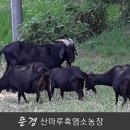 산마루 이미지