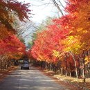 가고파밸리 이미지