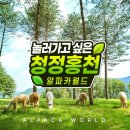 알파카월드 이미지