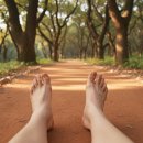 걷는사람들 - 충주시 중앙로 53 | 흙길 맨발로 걷는 사람들 보고 유난 떤다 생각했죠? 제가 직접 해본 솔직한 후기