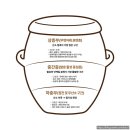 3년 숙성 된장의 항아리 속 미생물 생태계