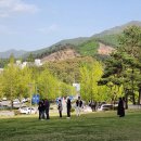 연세대 카카오맵으로 지적도(측량)보고 토지경계찾는법 실습 (연세대미평.부동산경매공법 15기) 연세플라자앞 .. 이미지