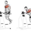 고짐(GO GYM) 다사 대실역점 이미지