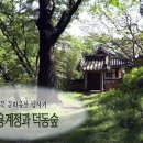 [한국의 역사문화명승] 포항 용계정과 덕동숲 이미지