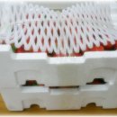 별밭공동체 이미지