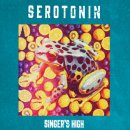 STRAIGHT FLUSH-Singer&#39;s High 가사 번역
