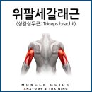 원짐 이미지