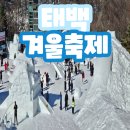 2월9일(일)《눈꽃축제》태백산 눈꽃산책+정선만항제눈꽃+황지연못.자유시장여행 이미지