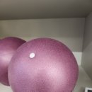 집에서 따라할 수 있는 소도구 필라테스 이미지