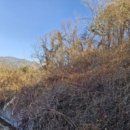 삼밭골천 이미지