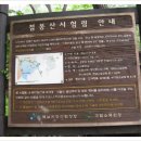 곰배령새소리 이미지