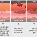 비앤씨피부과의원 이미지