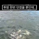 투망 한방에 이미지