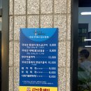 선미통돼지시지 이미지