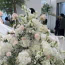 금하갈비 | 수성호텔 아이비홀 실제예식 후기 (연회장, 뷔페, 신부대기실, 피오니홀 블레스홀 뷔페 비교)