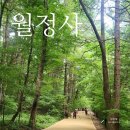 평창 월정사 팔각구층석탑 | 평창 오대산 월정사 팔각구층석탑 전나무숲길 트레킹 주차팁