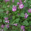 푸른소아청소년과의원 이미지