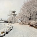 티에스팜 이미지