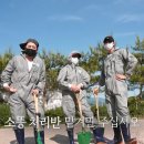생각보다 더 쉽지 않다는 소 축사 일.jpg 이미지