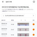 [임신 4주차] 임테기의 노예&amp;시작된 증상들(?!)