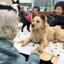 일산동구보건소치매안심센터 이미지