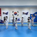 봉황태권도장 이미지