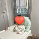 토핑이유식 초기 중기 보관 방법 및 후기 죽 이유식 전환 후기