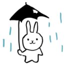 빌로우스튜디오