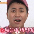 안개꽃정원