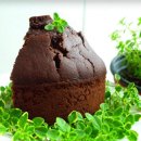 초콜릿케이크(CHOCOLATE CAKE) 이미지
