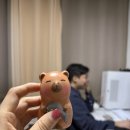 다사랑세탁 | >@ 4월달 일기올시다 !!!! @<