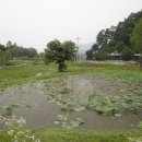 능내1리 이미지