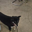 강동-천호-1224 | 천호 숨어있는 분위기 맛집 해임시