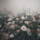 바다한채 이미지