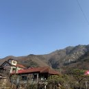 얼음골향림 이미지