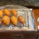 커피마이클 이미지