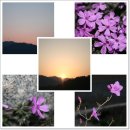 영월천문대펜션 이미지