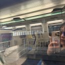 영주시장 | 영주365시장 여행 랜금떡 떡볶이 포장