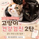 오즈동물병원 | 해든동물병원 의정부점 검진 과정 &amp; 결과 후기 (내돈내산)
