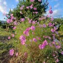 (주)남영전기 이미지