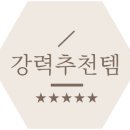 한성카 - 시흥시 역전로 195 | 한성카